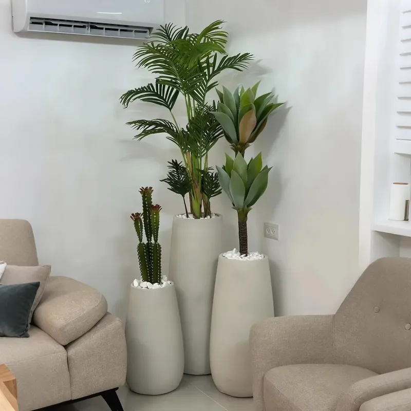 Créez votre oasis : Magnifique - Interior Design Your Home avis et prix